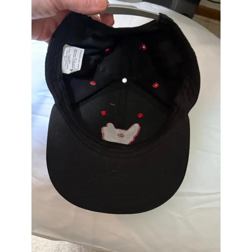 Pug Dog embroidered patch baseball cap youth OS